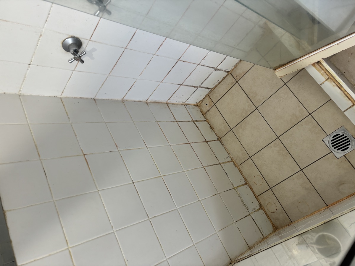 Shower before regrouting