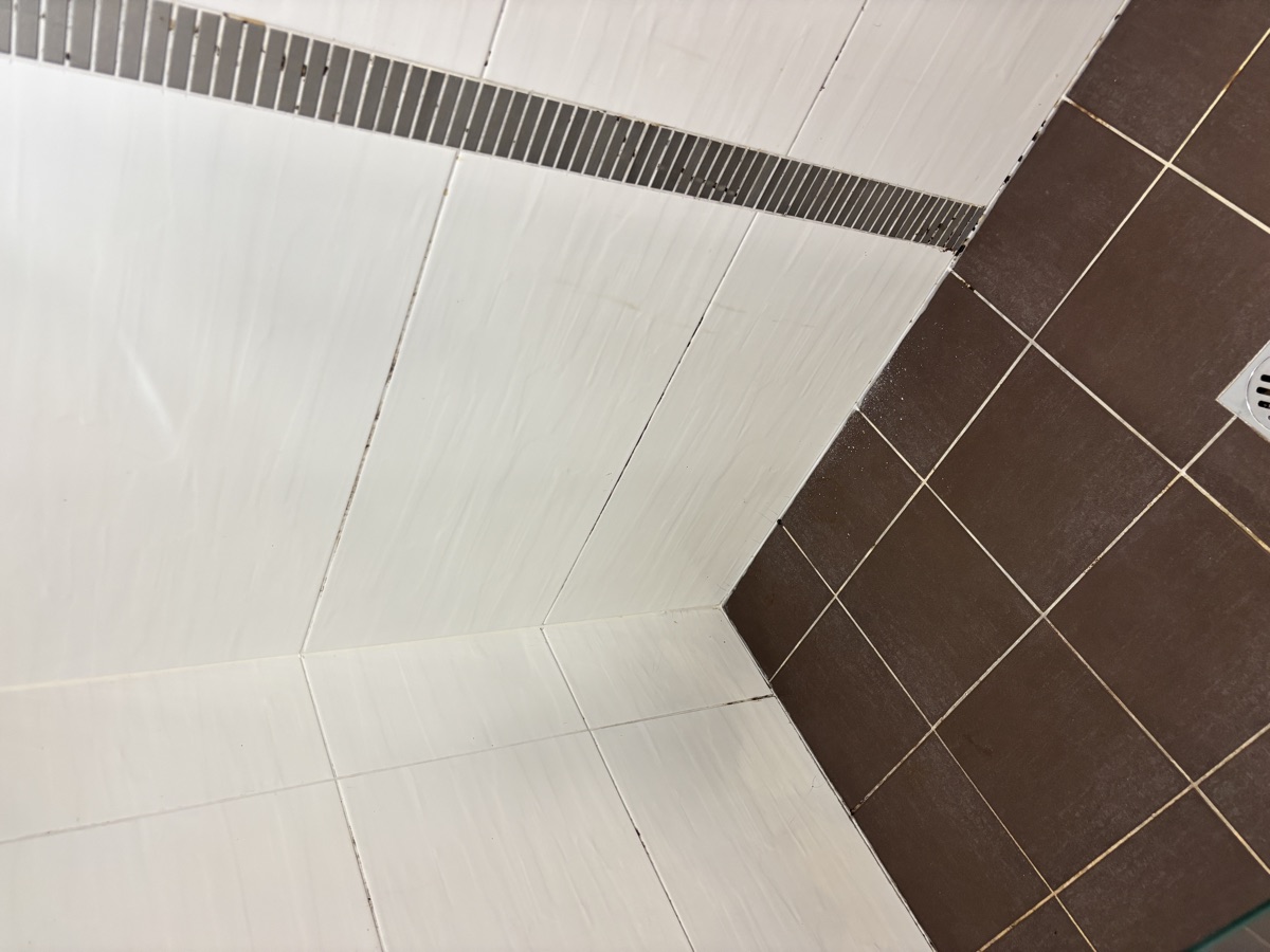 Shower before regrouting