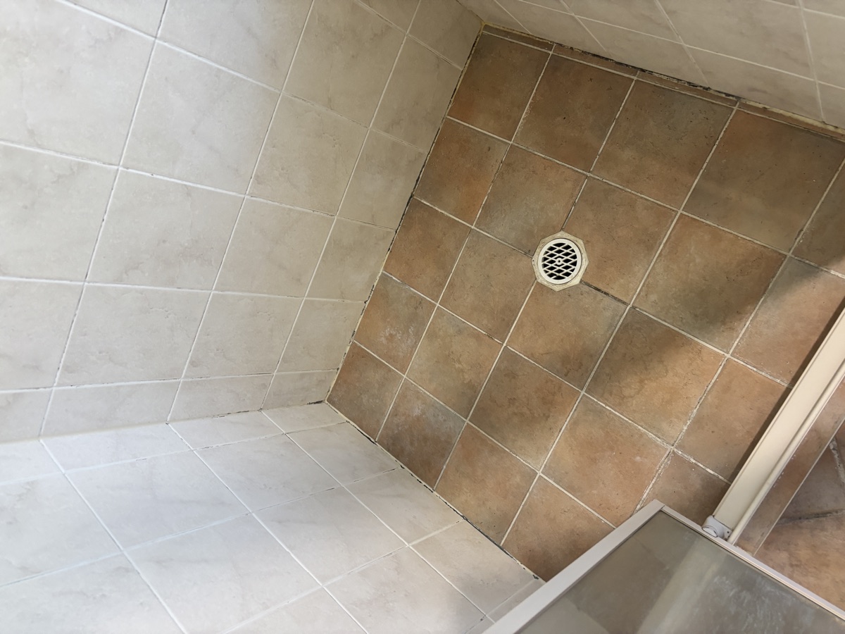 Shower before regrouting