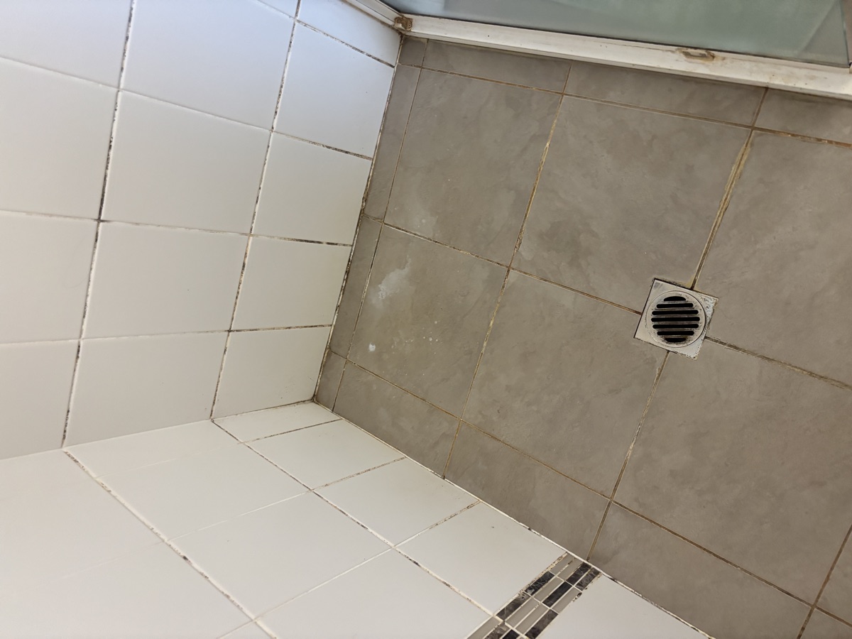 Shower before regrouting