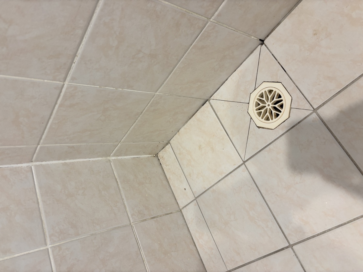 Shower before regrouting