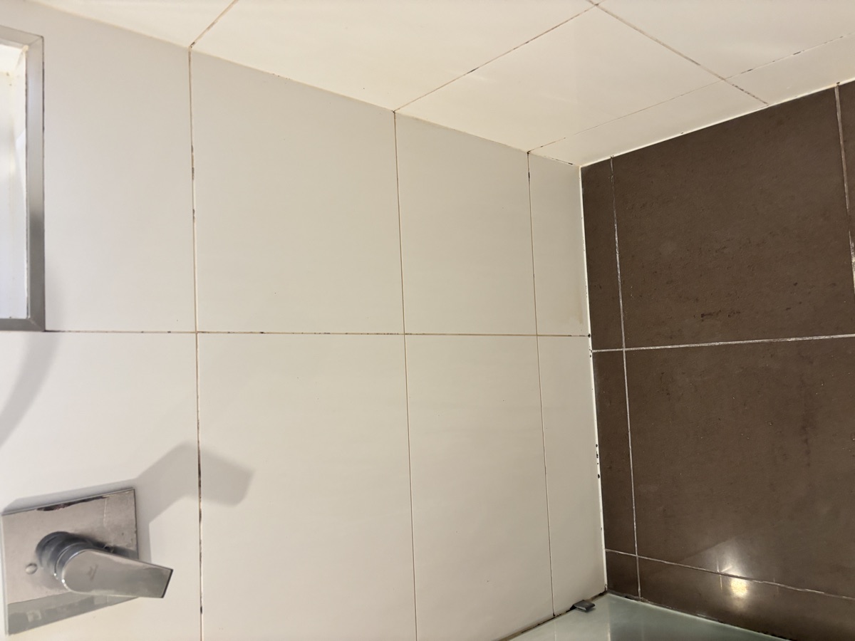 Shower before regrouting