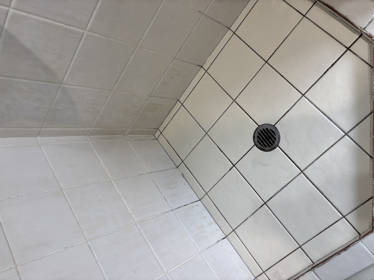 Shower before regrouting