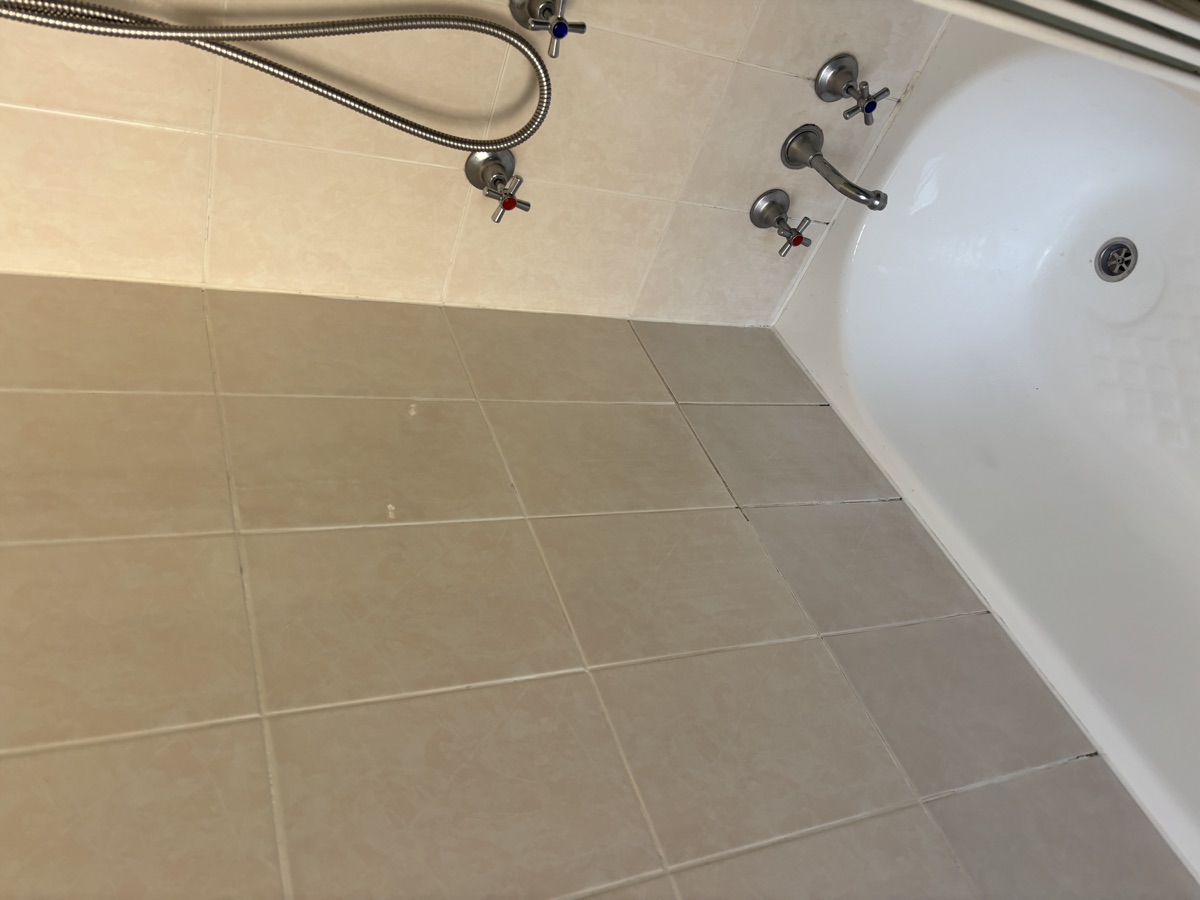 Shower before regrouting