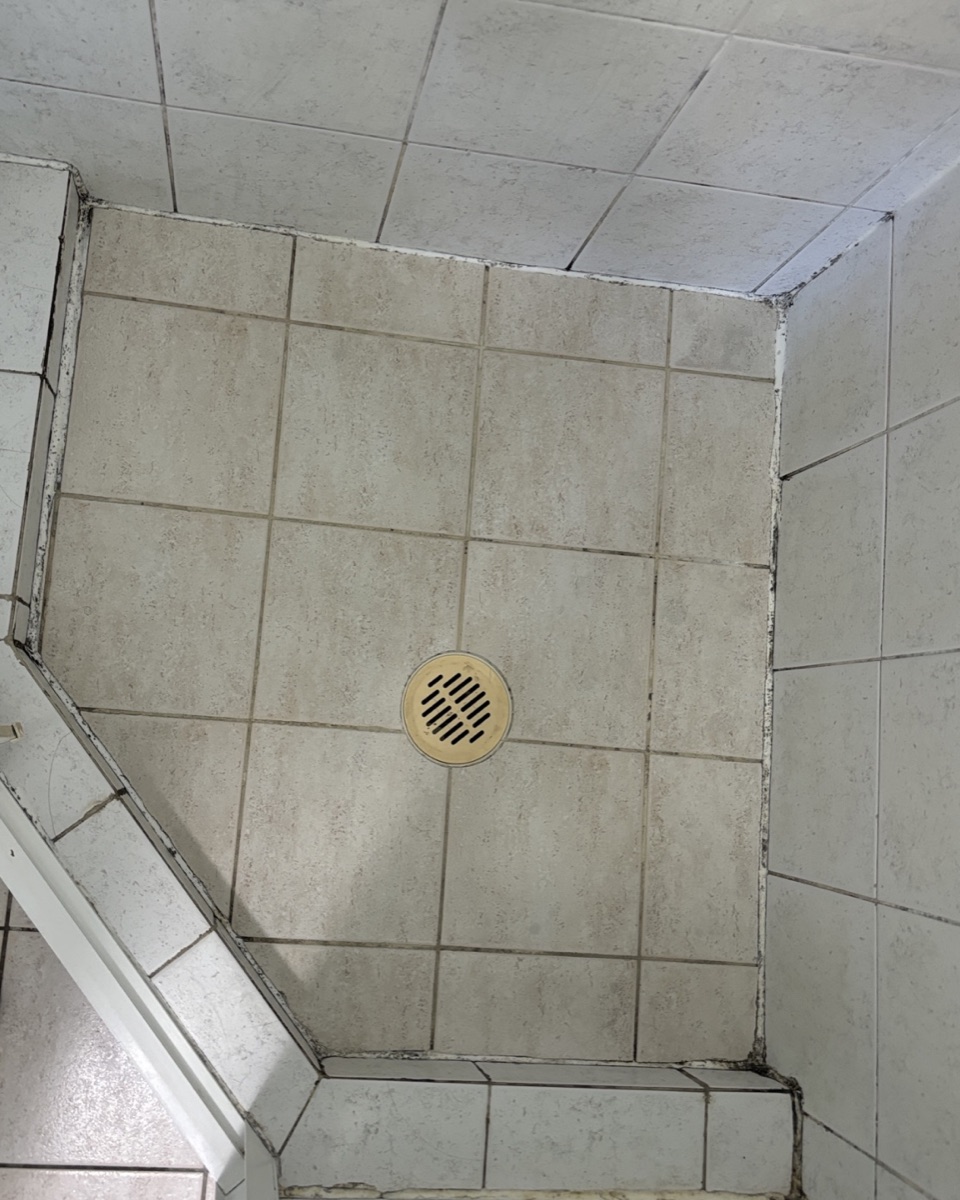 Shower before regrouting