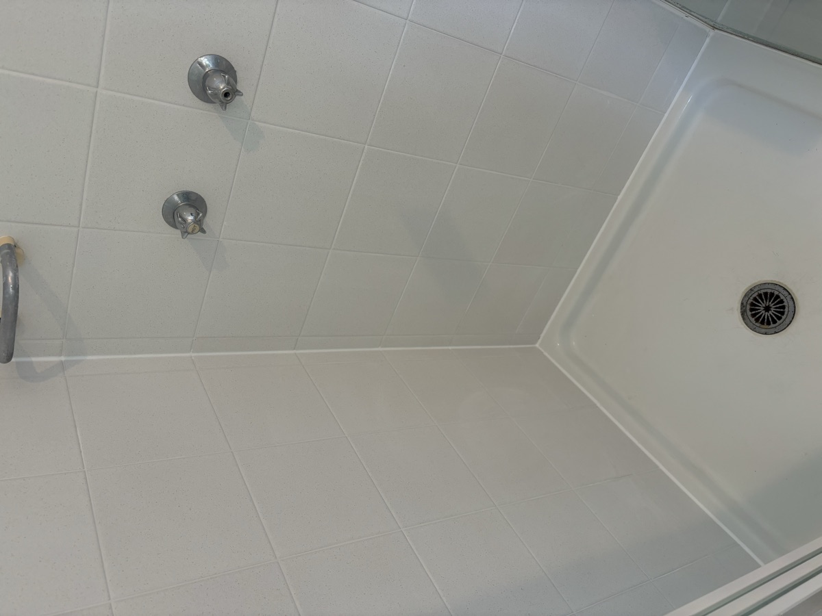 Shower after regrouting