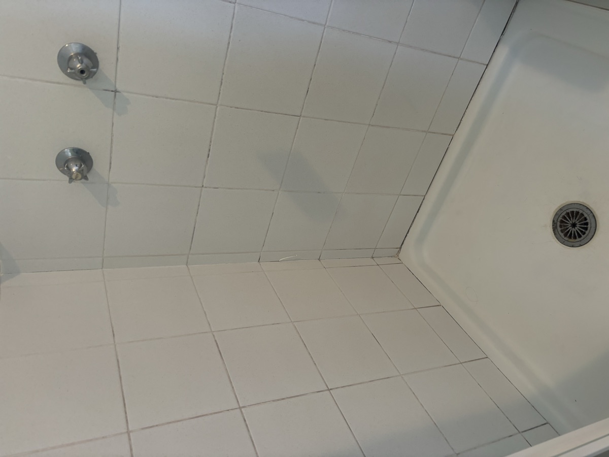 Shower before regrouting