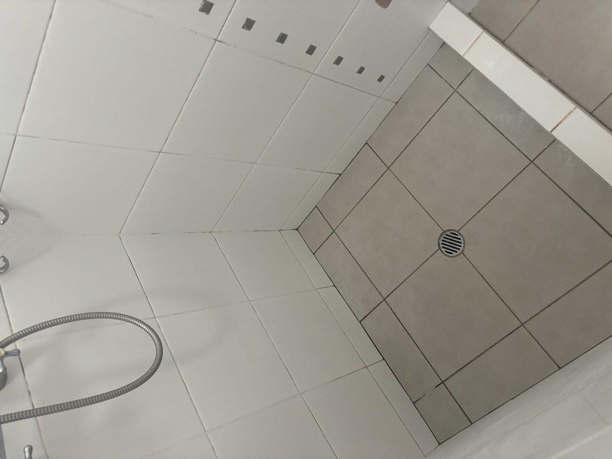 Shower before regrouting