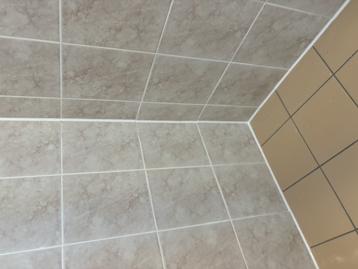 Shower after regrouting