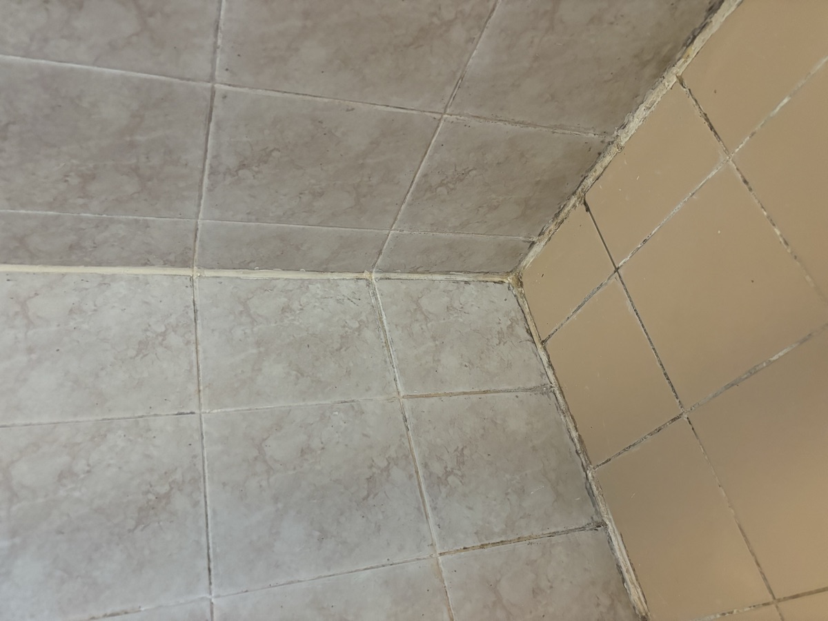 Shower before regrouting
