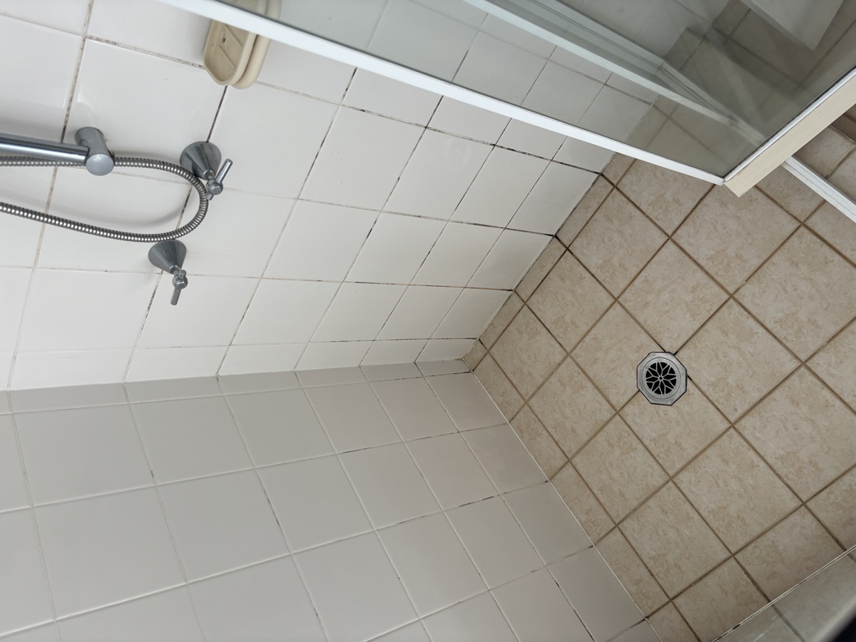 Shower before regrouting