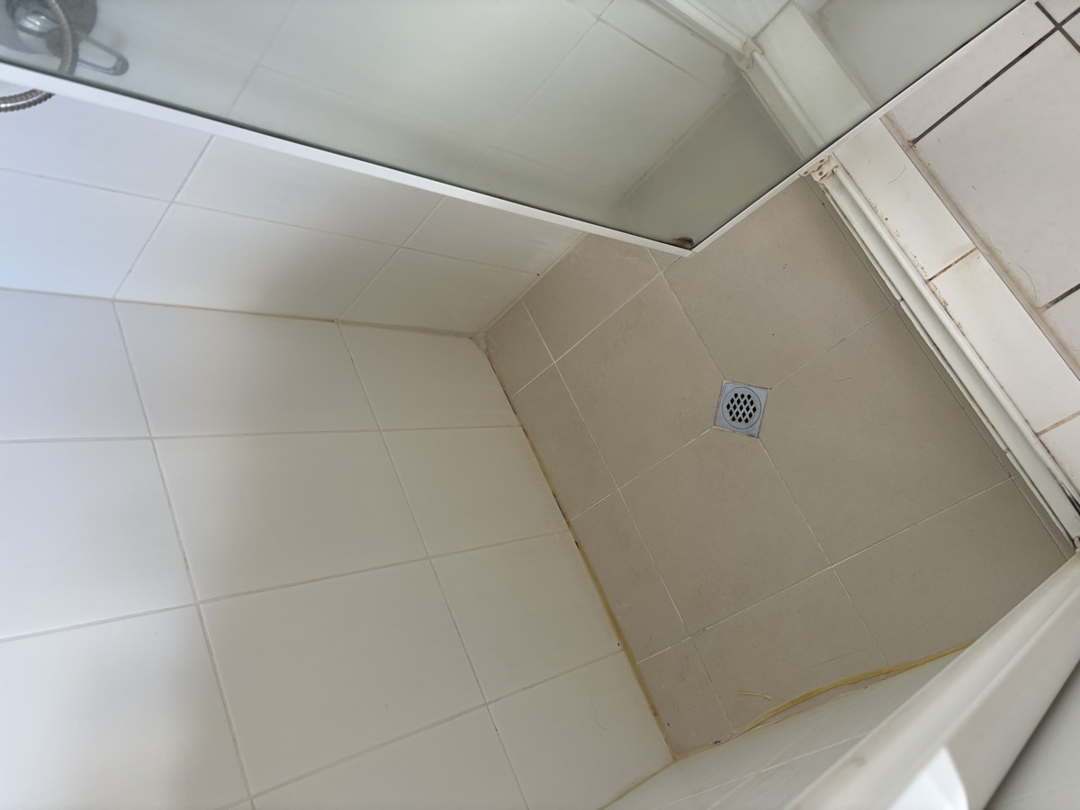 Shower before regrouting