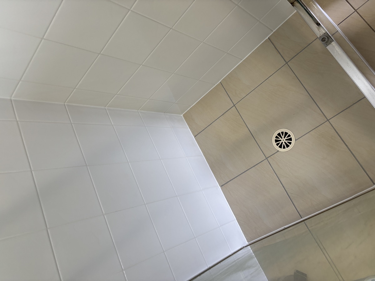 Shower after regrouting
