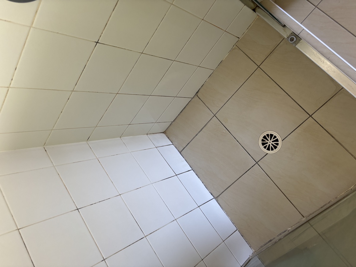 Shower before regrouting
