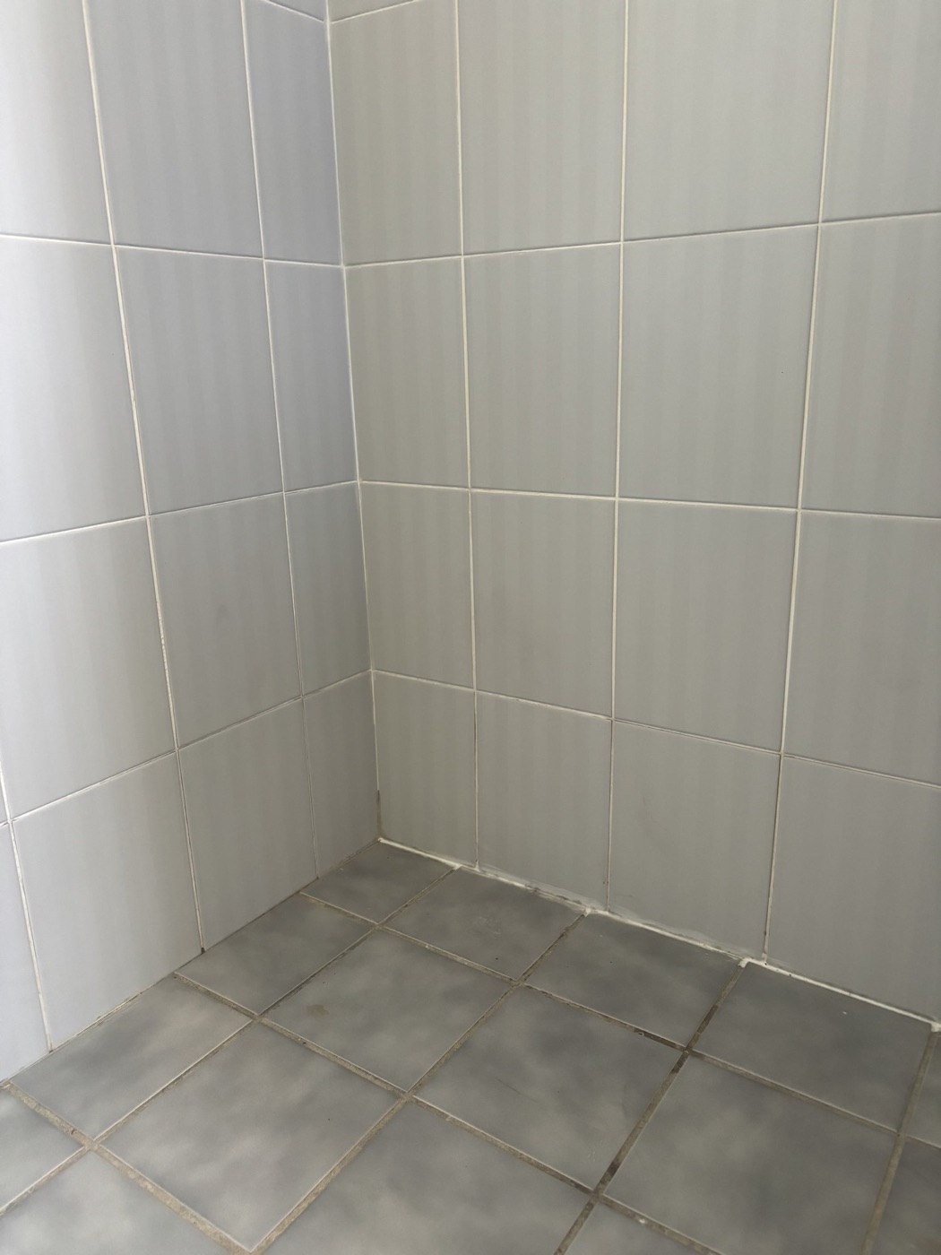 Elite Grout regrouting and sealing work, Gold Coast