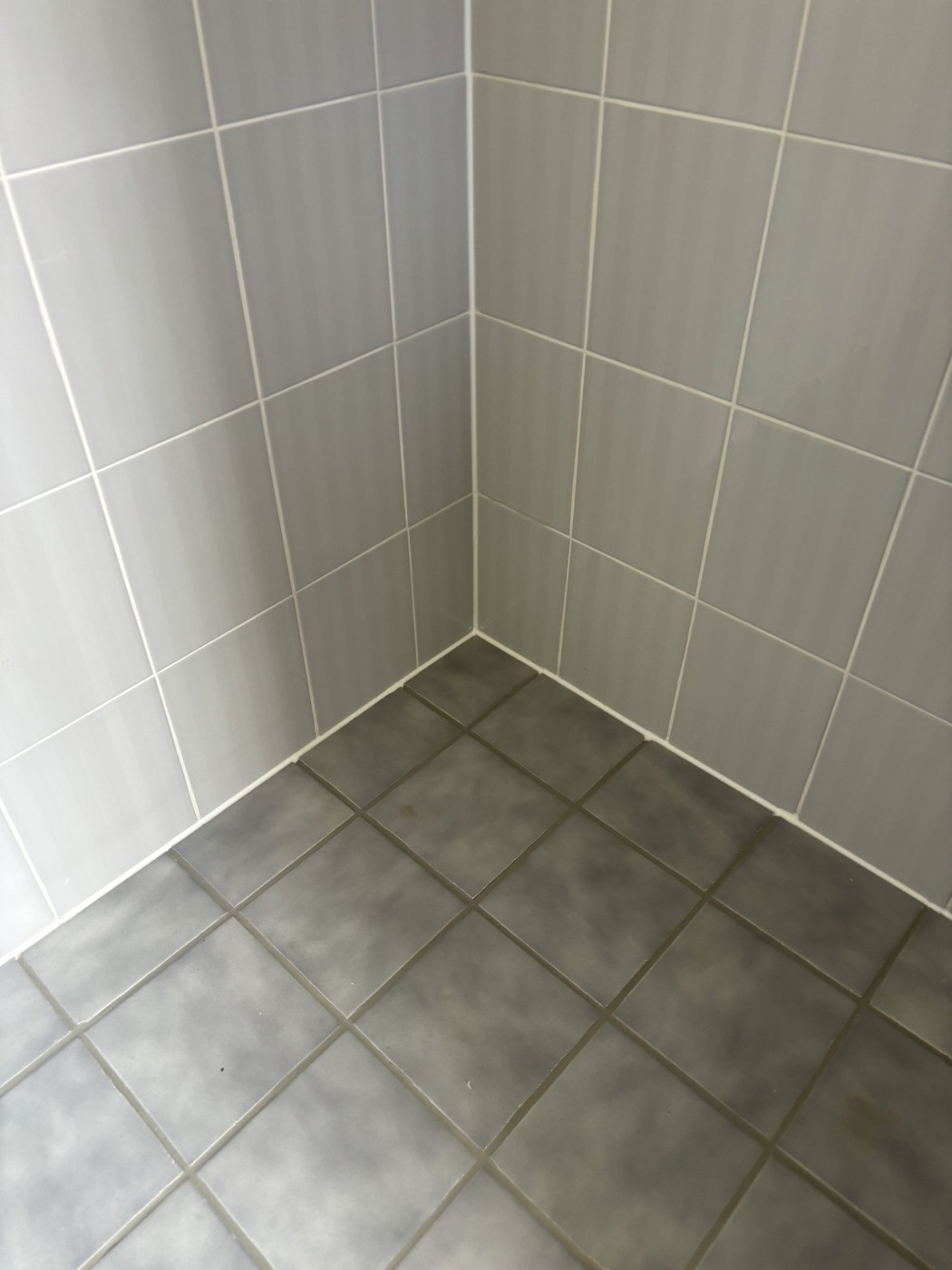 Elite Grout regrouting and sealing work, Gold Coast
