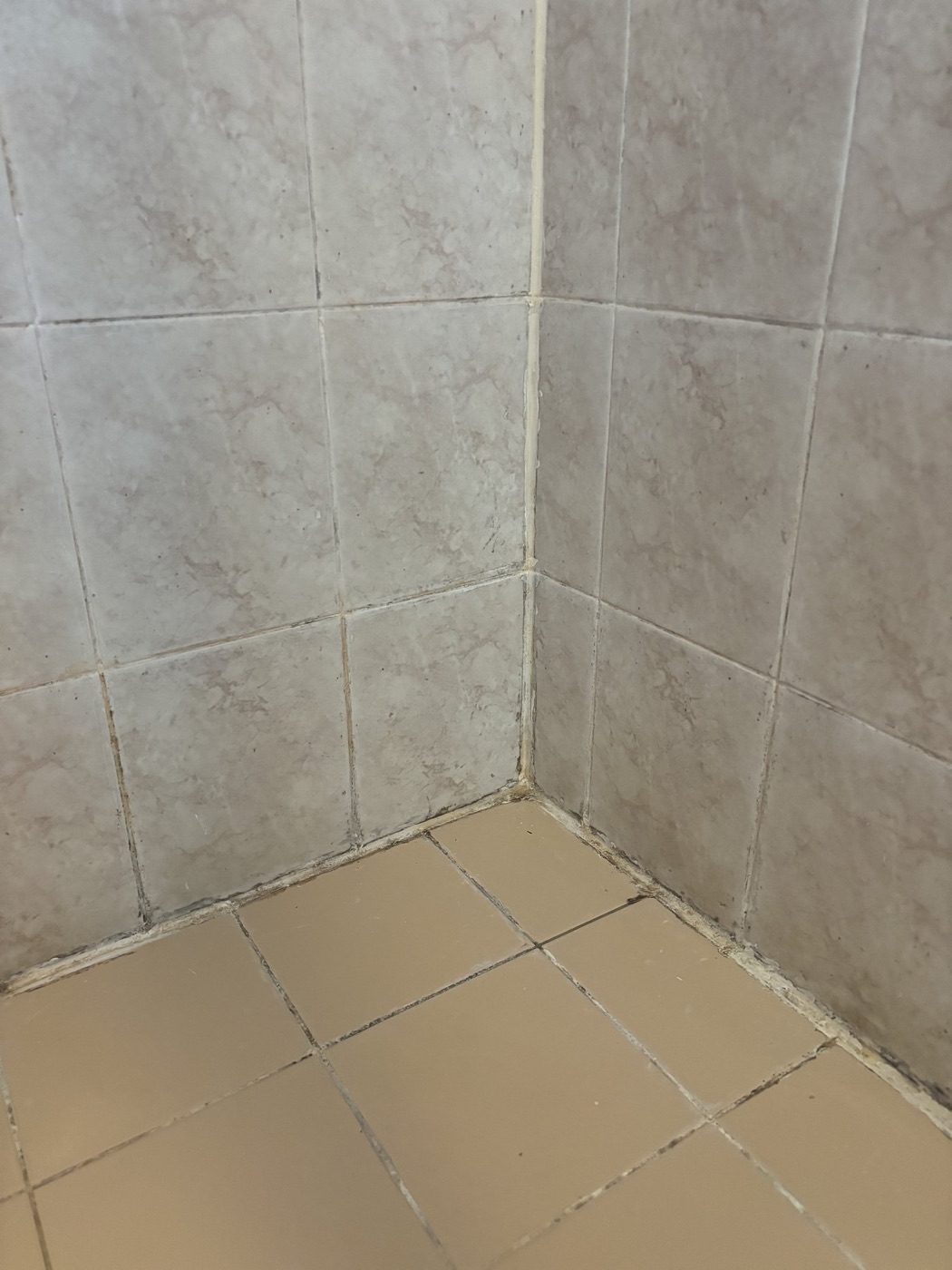 Elite Grout regrouting and sealing work, Gold Coast