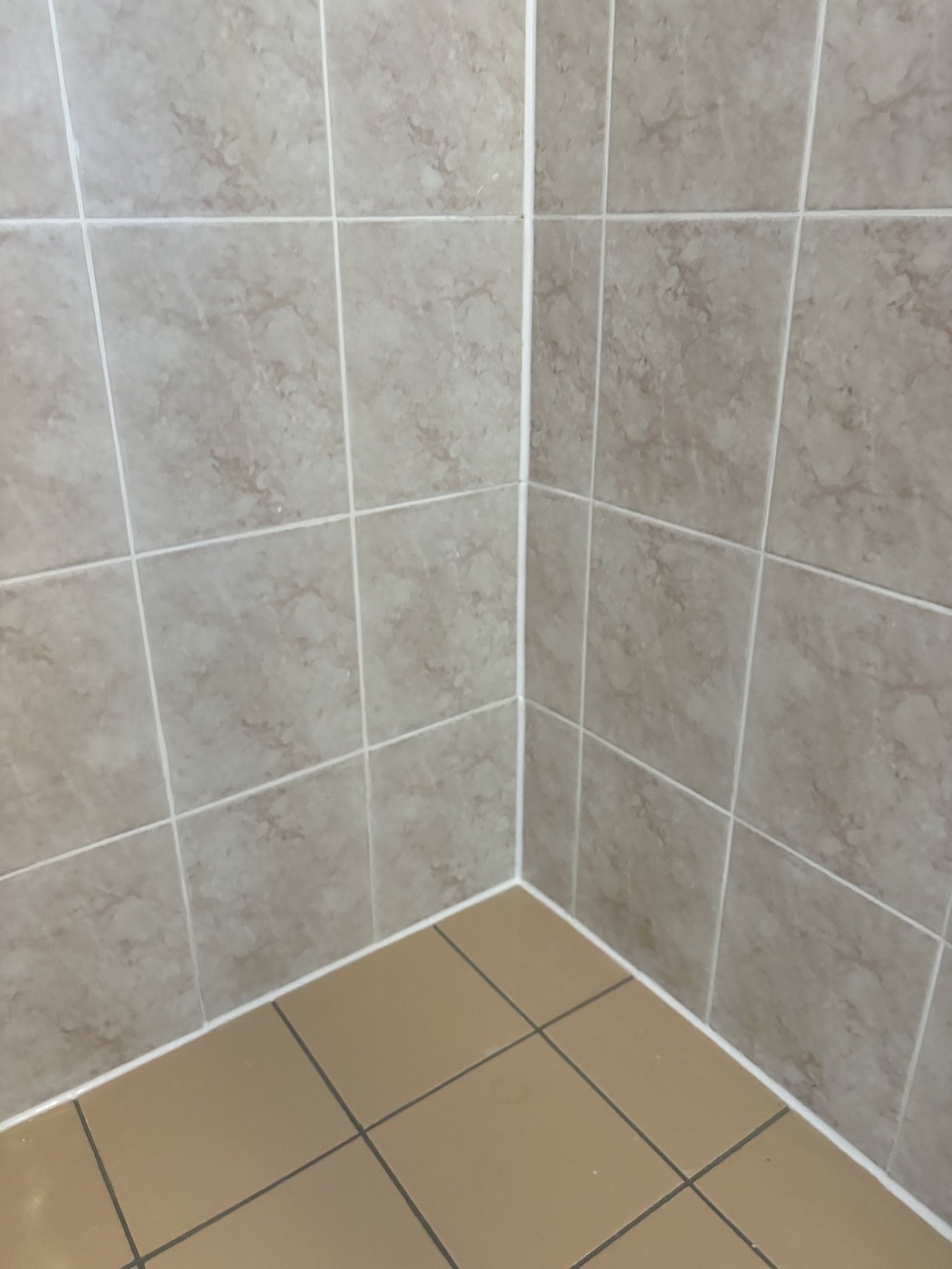 Elite Grout regrouting and sealing work, Gold Coast