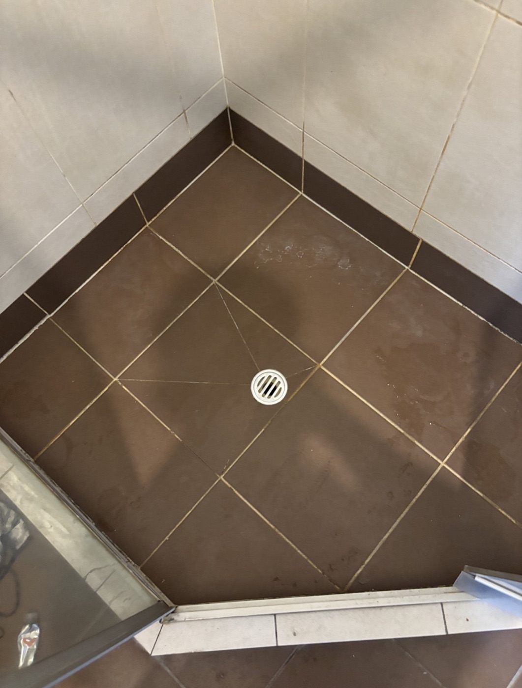 Elite Grout regrouting and sealing work, Gold Coast