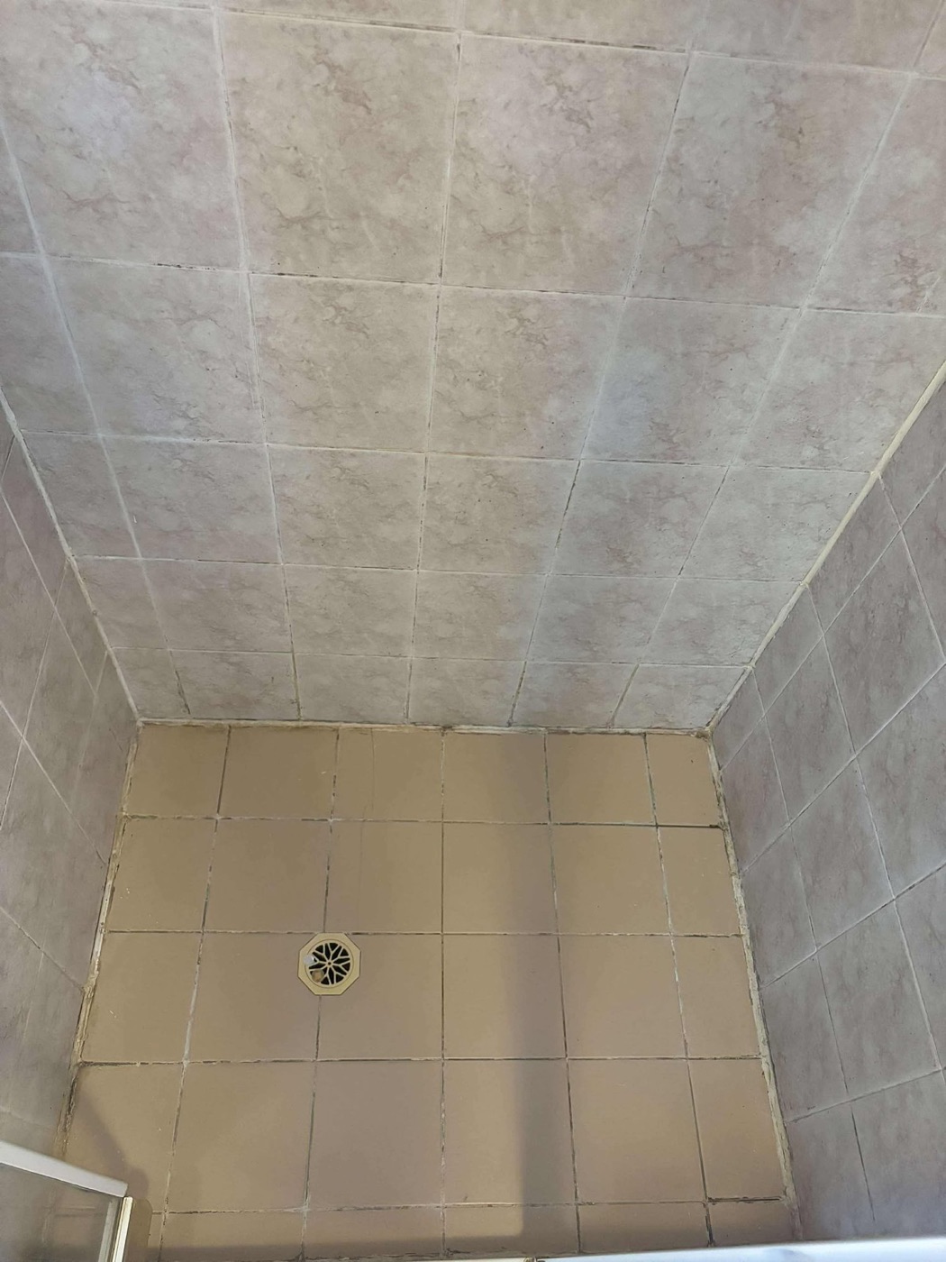 Elite Grout regrouting and sealing work, Gold Coast