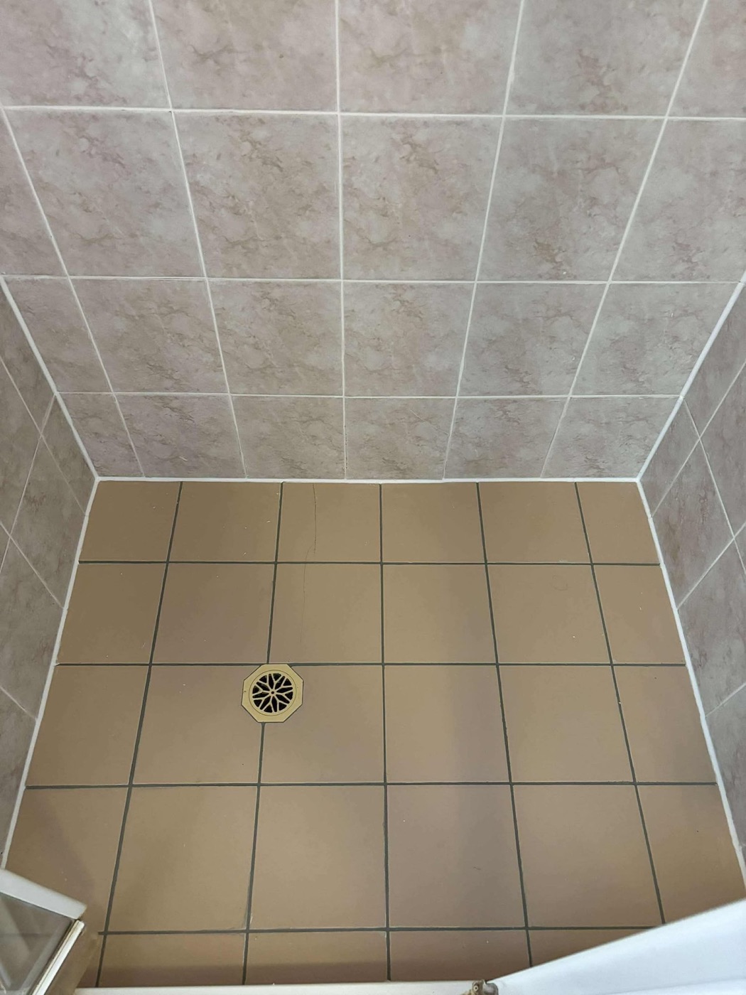 Elite Grout regrouting and sealing work, Gold Coast