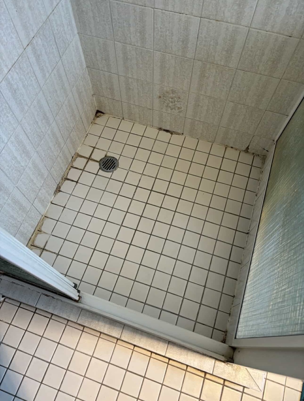 Elite Grout regrouting and sealing work, Gold Coast