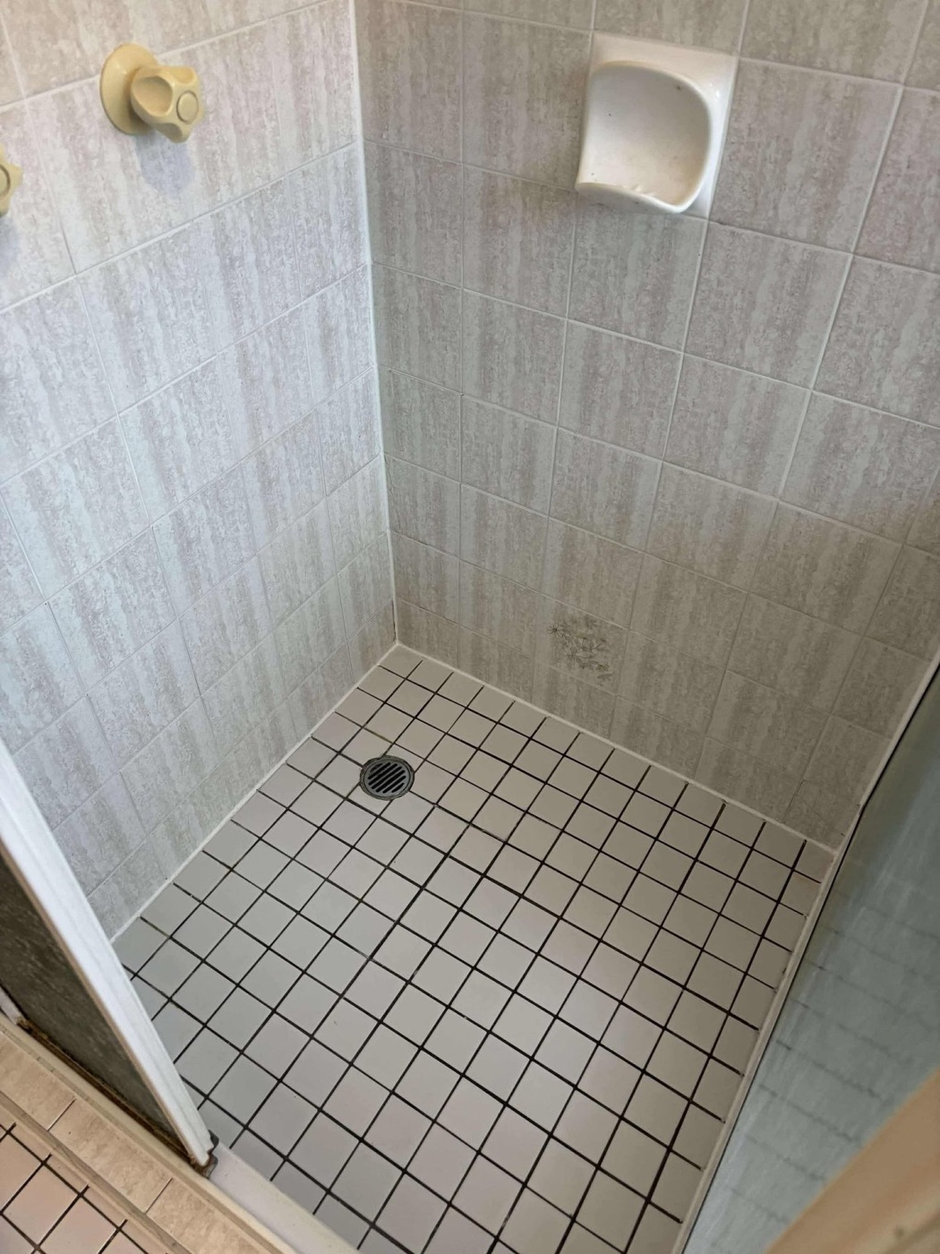 Elite Grout regrouting and sealing work, Gold Coast