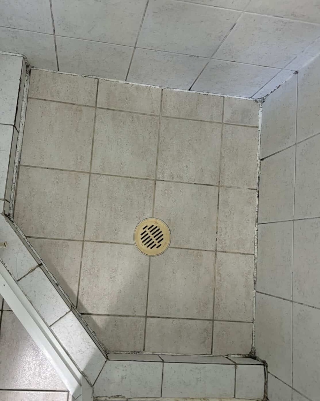 Elite Grout regrouting and sealing work, Gold Coast