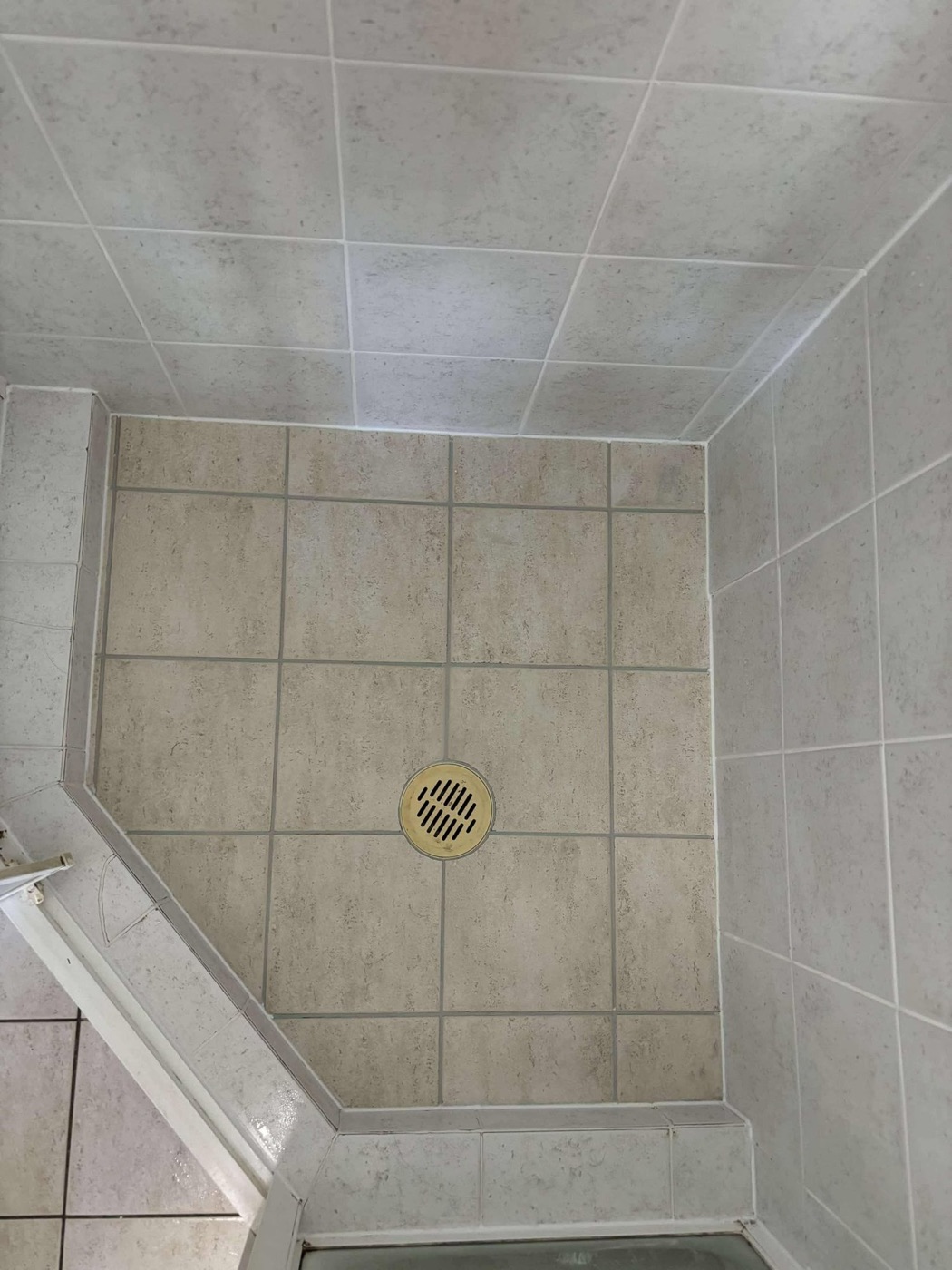 Elite Grout regrouting and sealing work, Gold Coast