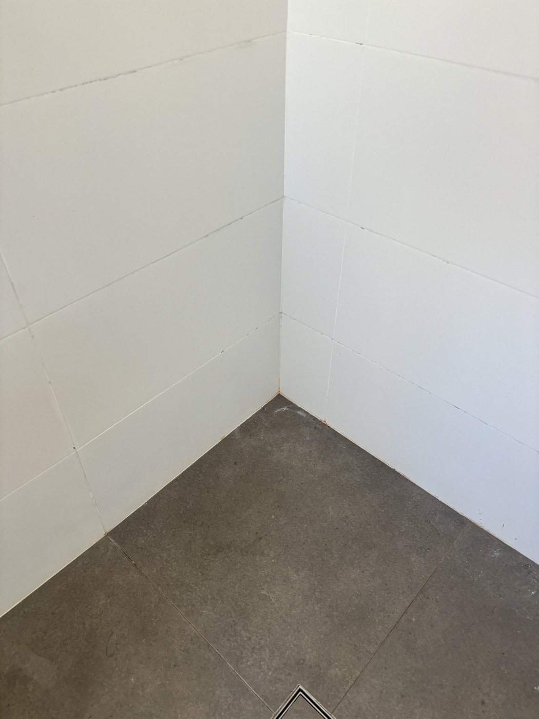 Elite Grout regrouting and sealing work, Gold Coast