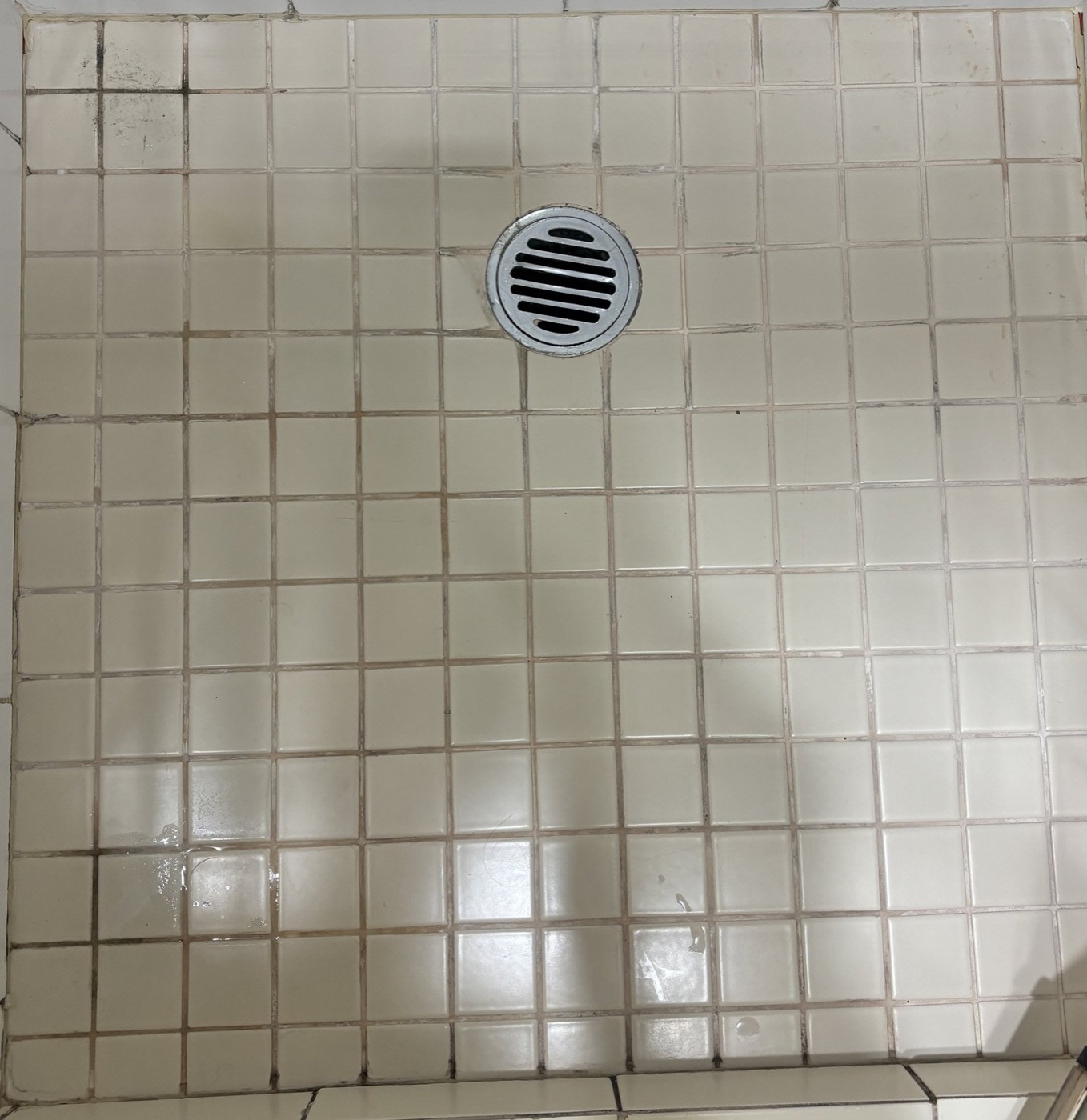 Elite Grout regrouting and sealing work, Gold Coast