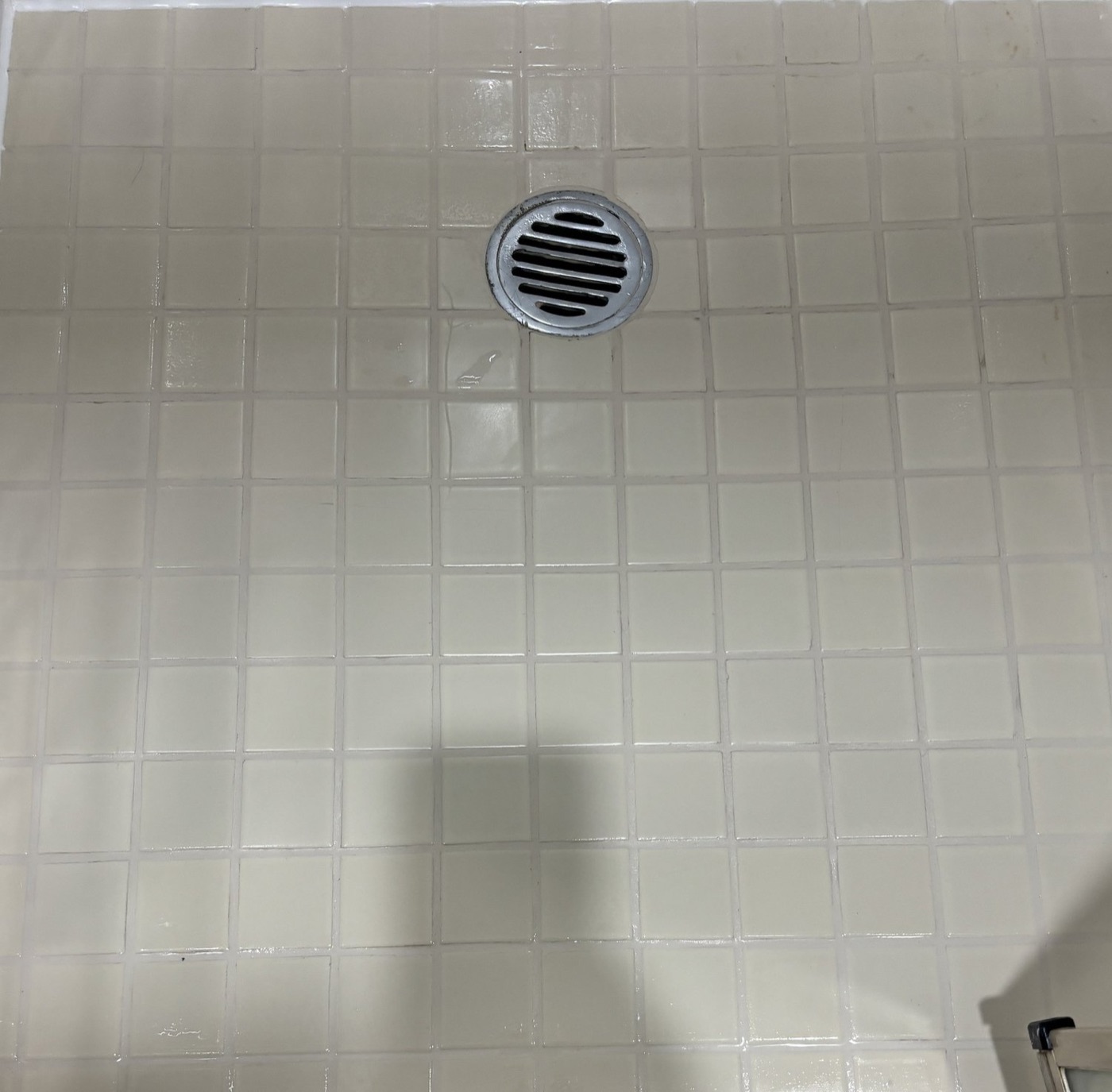 Elite Grout regrouting and sealing work, Gold Coast