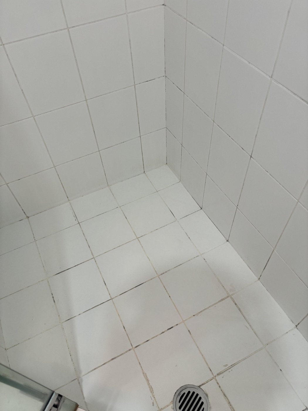 Elite Grout regrouting and sealing work, Gold Coast