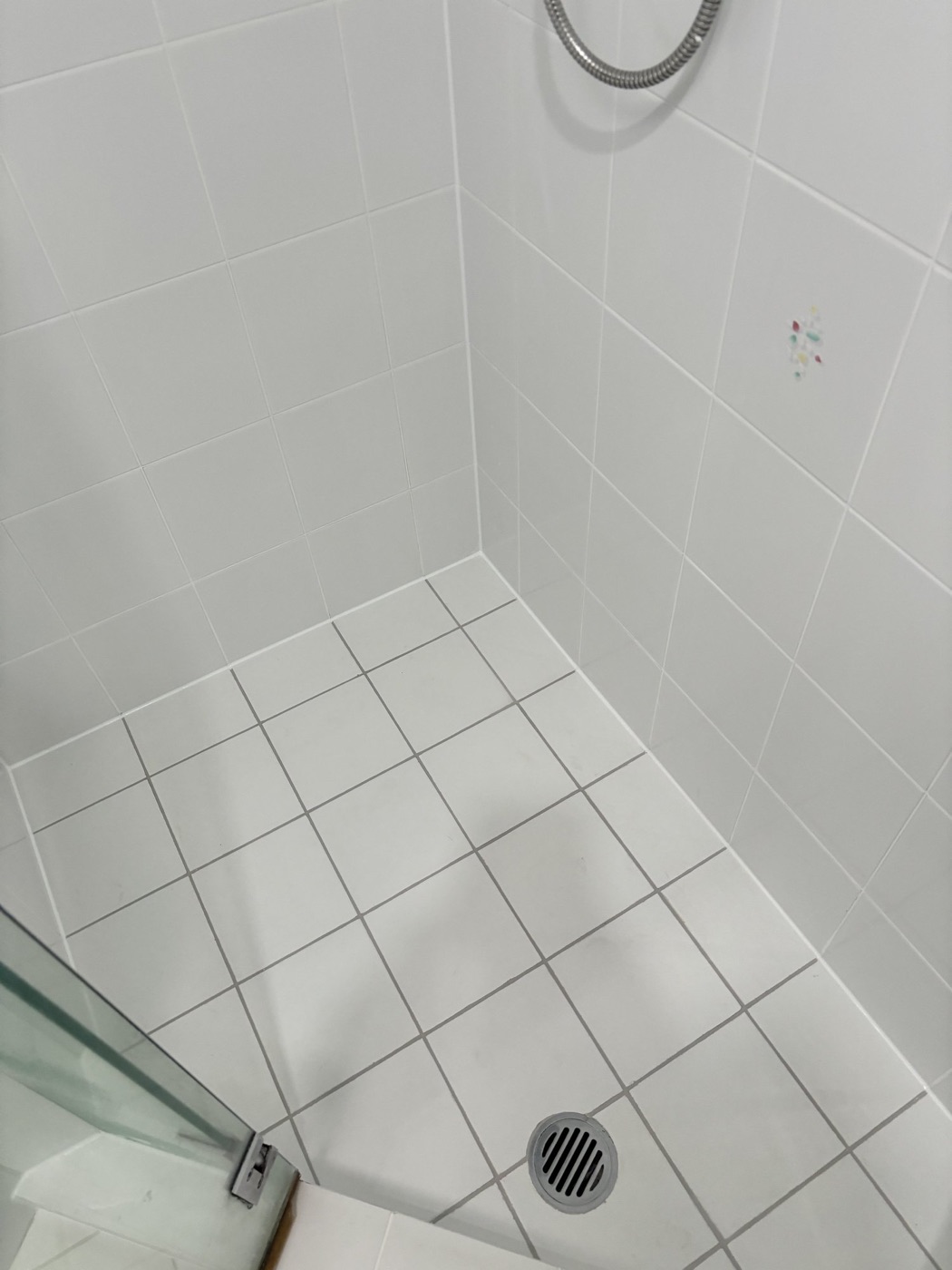 Elite Grout regrouting and sealing work, Gold Coast