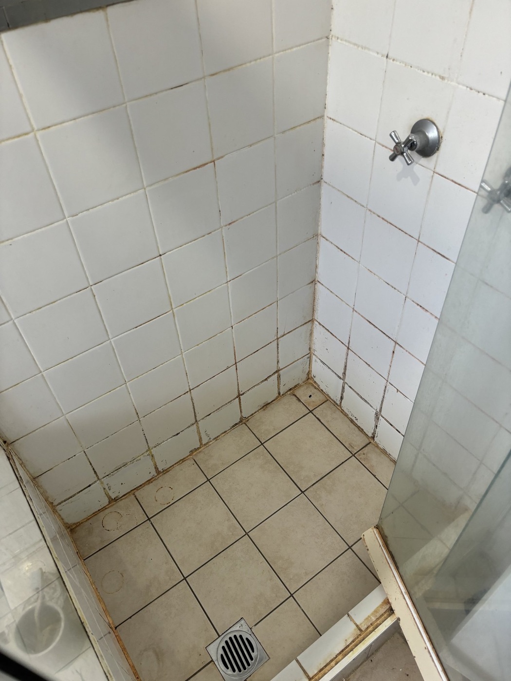 Elite Grout regrouting and sealing work, Gold Coast